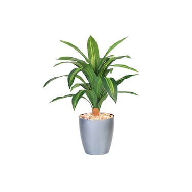 Corn leaf tree 80 cm