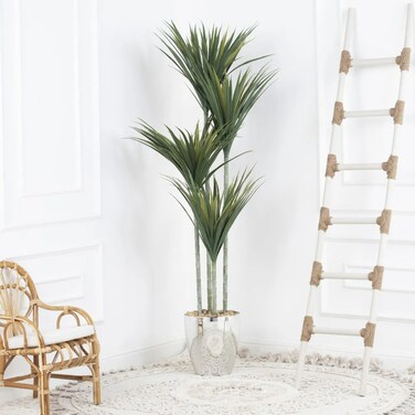 Dracaena cactus tree, four branches, 190 cm silver stand