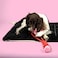 Coockoo Ball with Rope Loop Swing Me Dog Toy - Red/Pink