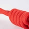 Coockoo Ball with Rope Loop Swing Me Dog Toy - Red/Pink