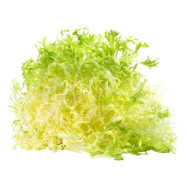 خس فريزي أصفر