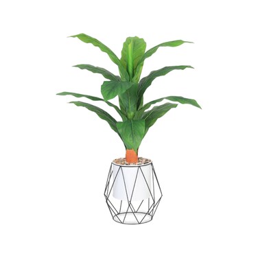 Source leaf tree 90 cm