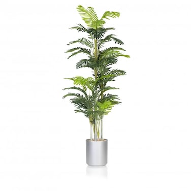 Giant modern areca palm, silver basin, 220 cm