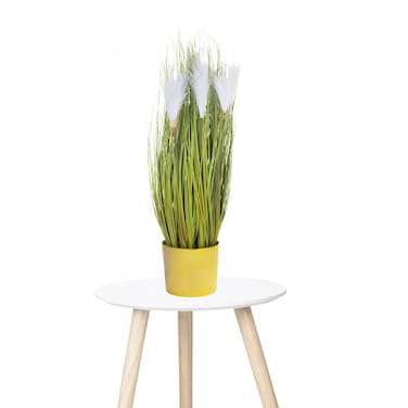 Wheatgrass vase 60cm