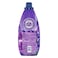 Comfort Concentrate Fabric Softener, Lavender &amp; Magnolia, 1.5L