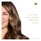Dove Shampoo, Ceramide Moisturizing, 400ml