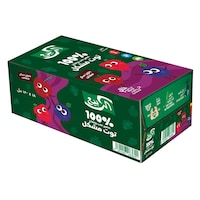 الربيع مشروب مزيج التوت + فيتامينات 120 مل × 18