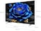 TCL Television 75 Inch Smart TV 4K QLED Colorful Quantum Crystal HDR 10+ Gaming Google TV, Dolby Vision Atmos, DTS Virtual X, MEMC, Voice Control, Game Master with Slim Design-75P71K (2025 Model)