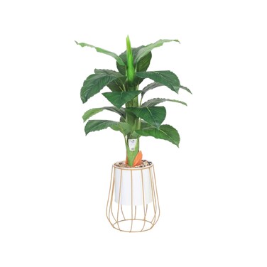 شجر اوراق الموز  80سم