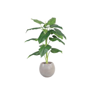 شجره اوراق الموز 80 سم