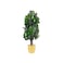 Star tree 185 cm