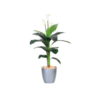 شجره الكالا 125 سم