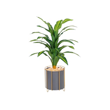 شجره اوراق الذره 100 سم