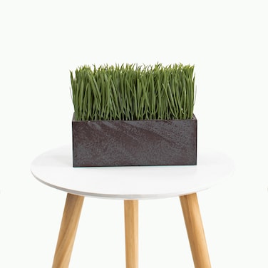 Natural grass vase 20 cm