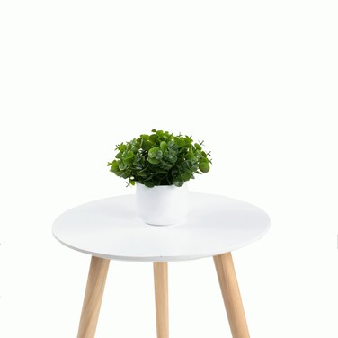 فازة الشمشير الخضراء 15سم