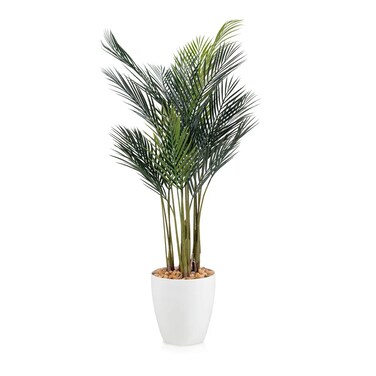 شجرة الأريكا الخضراء 130سم