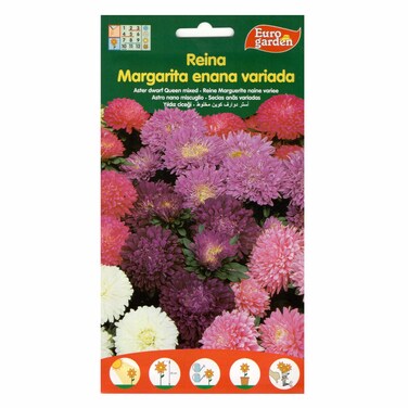Eurogarden Aster Dwaft Mixed