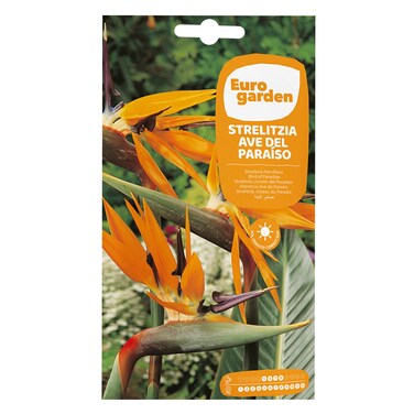 Eurogarden Bird Of Paradise Flower Seeds - Easy to Grow, Low Maintenance seed, Grow your own Flower at Home, 4 seeds