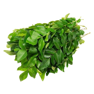 Indian Curry Leaves