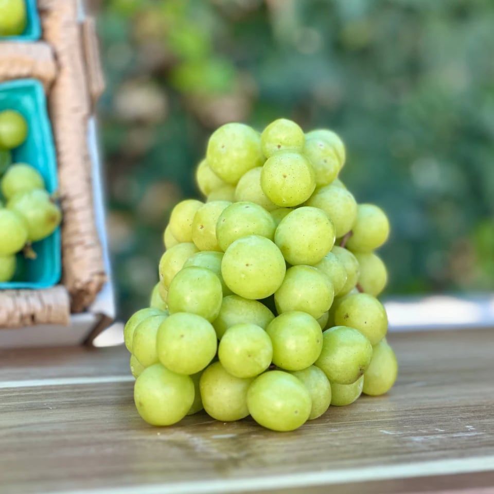 عنب ابيض فاخر خالي من البذور