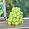 Grapes white seedless