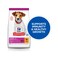 Hills Science Plan with Chicken Small and Mini Dry Puppy Food - 300 g