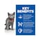 Hills Science Plan with Chicken Sterilized Dry Kitten Food - 1.5 kg