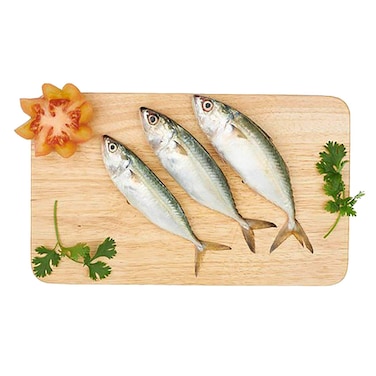 Fresh Mackerel Fish