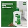 Dettol Original Liquid Handwash Pump, Pine Scent, 400ml