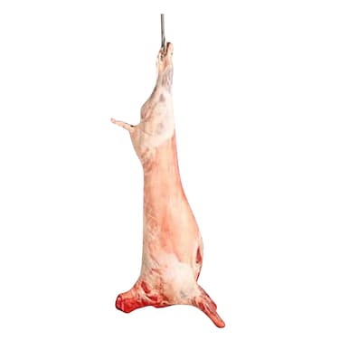 ذبيحة كاملة رفيدي طازج