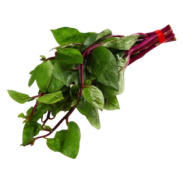 Malabar Alugbati Leaf