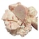 Beef Fat