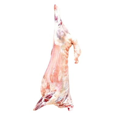 ذبيحة كاملة نعيمي