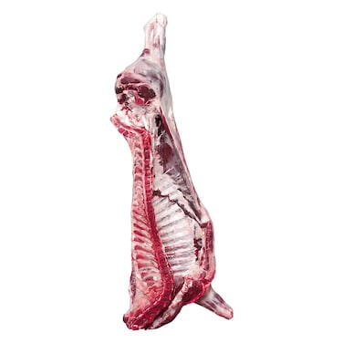 Half Veal Holland