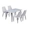Wood Dining Table 4 Chairs Light Grey