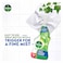 Dettol Anti-Bacterial Mould &amp; Mildew Remover Spray Bottle, 500ml
