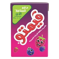 فيمتو مشروب بنكهة الفواكه 250 مل