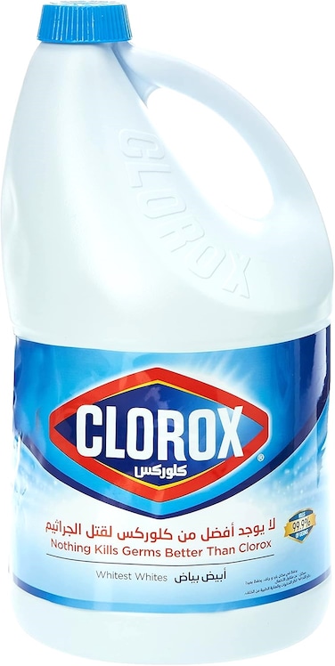 Clorox Regular 1 Gallon