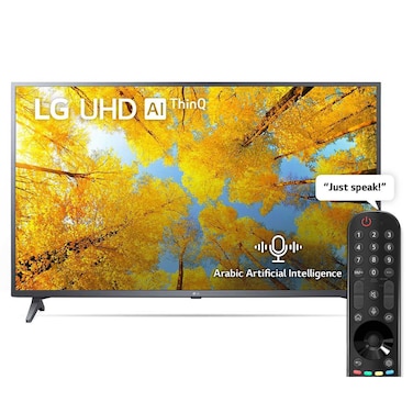 LG 43 Inch 4K Screen