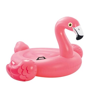 انتكس عوامه فلامينجو لعمر 3 سنوات فأكبر