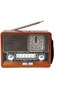Primo Plus بلوتوث محمول Radio