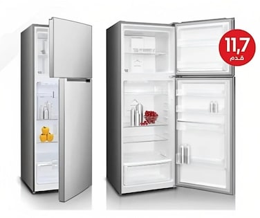 General Goldy 2 Doors Refrigerator 11.7 Feet 344 Litre Steam Steel GR344NF