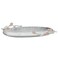 Saif Gallery Steel Serving Platter, 40 x 13 x 4 cm - Silver