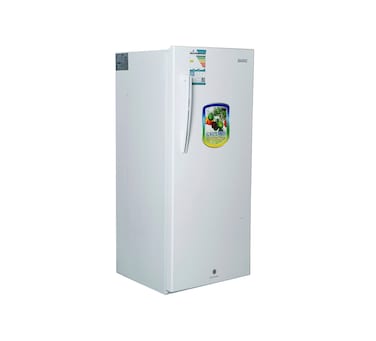 بيسك ثلاجة تذويب 6.2 قدم مكعب BRS-220 ML