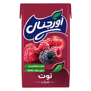 ارجينال شراب التوت 250 مل