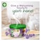 Air Wick Air Freshener Scented Gel, Lavender Scent, 70g