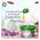 Air Wick Air Freshener Scented Gel, Lavender Scent, 70g