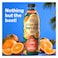 Almarai Farm&rsquo;s Select Super Orange Juice 1L