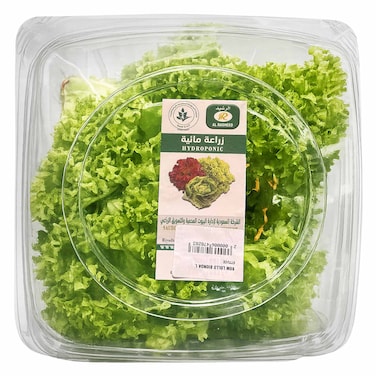 SGM Lollo Bionda Lettuce