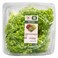 SGM Lollo Bionda Lettuce